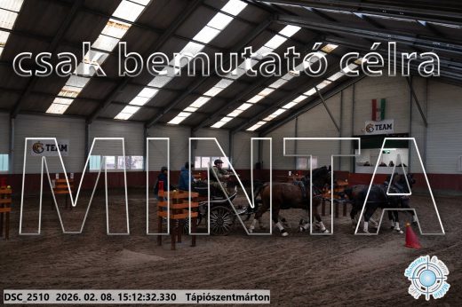 Mintakép 20260208-707