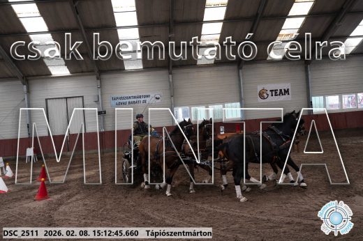 Mintakép 20260208-708