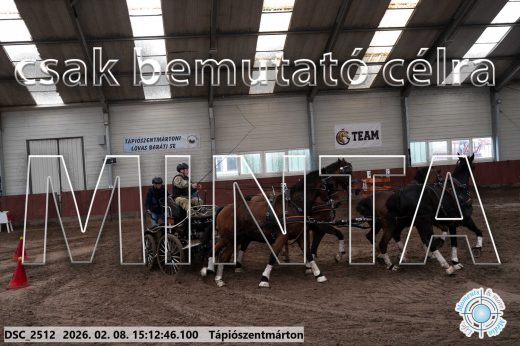 Mintakép 20260208-709