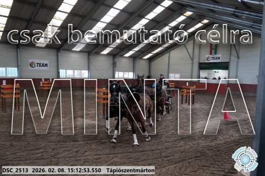 Mintakép 20260208-710