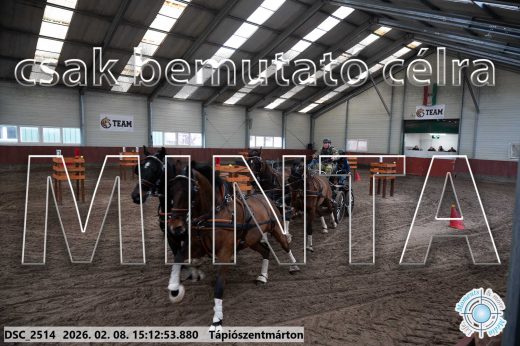 Mintakép 20260208-711