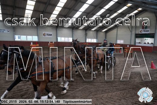 Mintakép 20260208-712