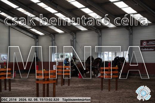 Mintakép 20260208-713