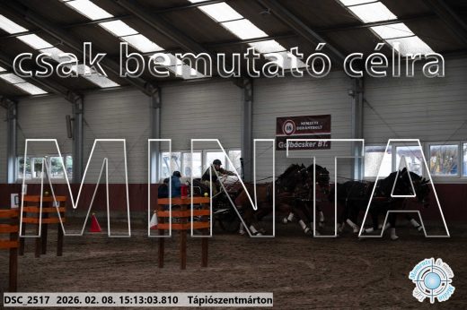 Mintakép 20260208-714