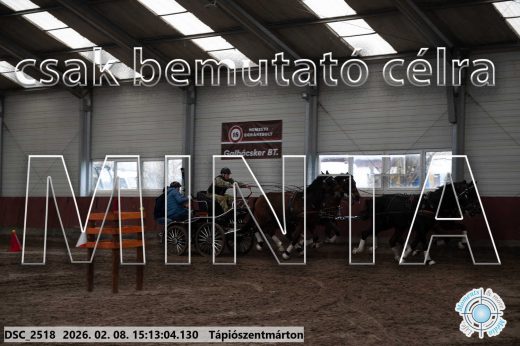 Mintakép 20260208-715