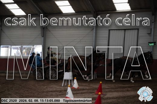 Mintakép 20260208-717