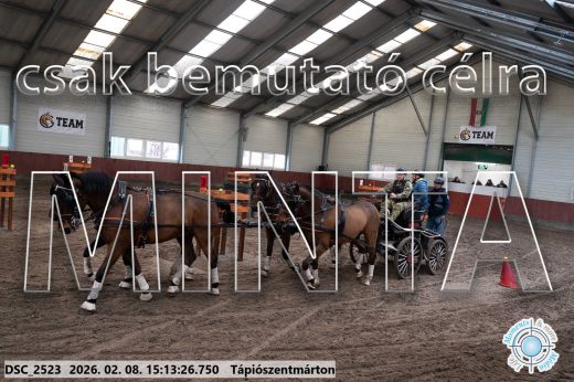 Mintakép 20260208-720