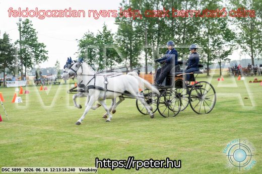 Mintakép 20260614-161