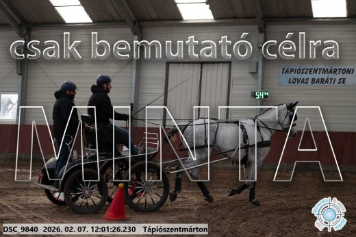 Mintakép 20260207-439