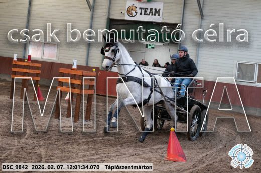 Mintakép 20260207-441