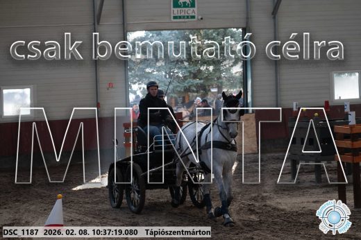 Mintakép 20260208-721