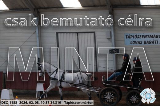 Mintakép 20260208-722