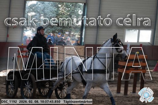 Mintakép 20260208-725