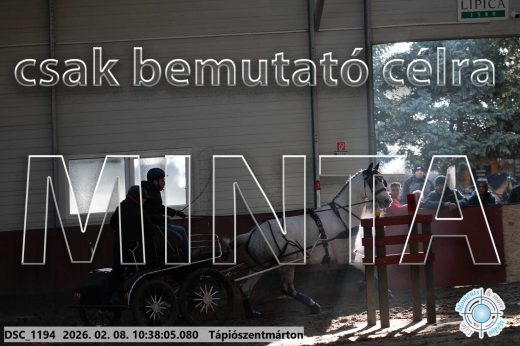 Mintakép 20260208-727