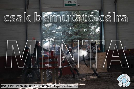 Mintakép 20260208-728