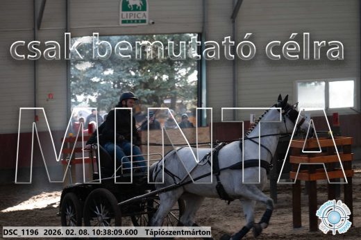 Mintakép 20260208-729
