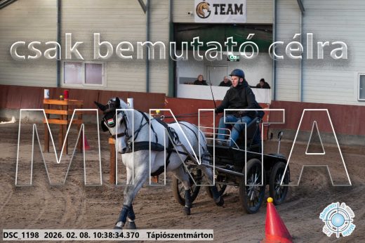 Mintakép 20260208-731