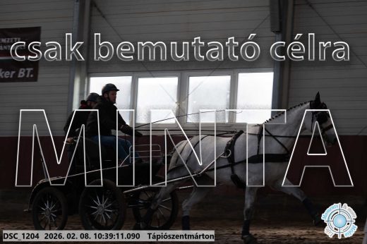 Mintakép 20260208-737
