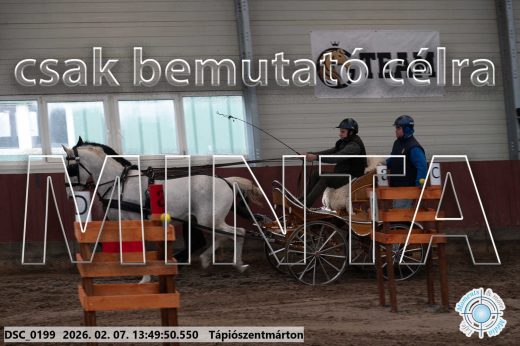 Mintakép 20260207-447