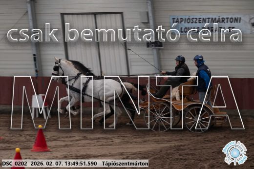 Mintakép 20260207-450