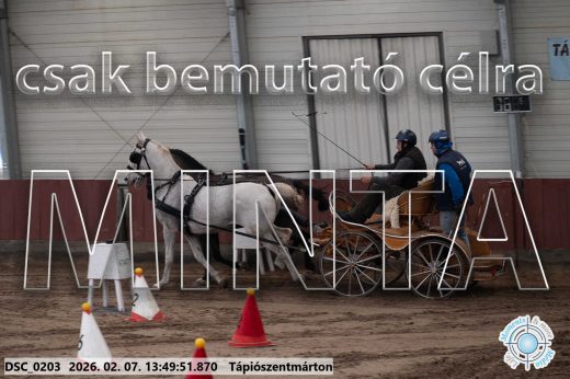 Mintakép 20260207-451