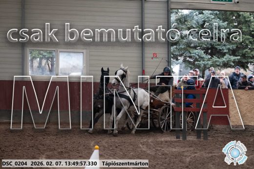 Mintakép 20260207-452