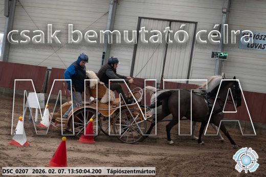 Mintakép 20260207-455