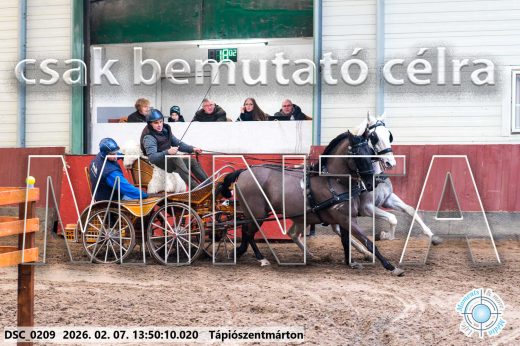 Mintakép 20260207-457