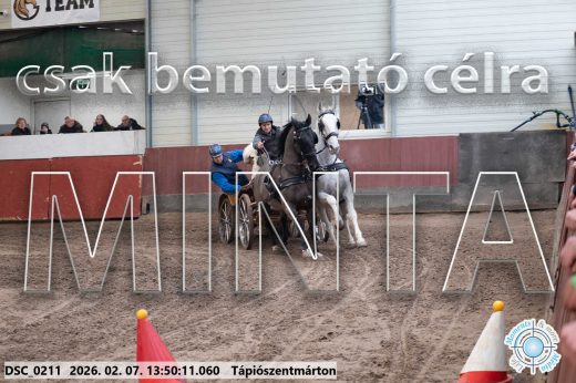 Mintakép 20260207-459