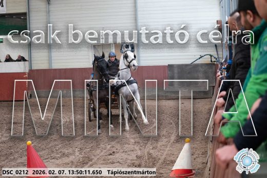 Mintakép 20260207-460