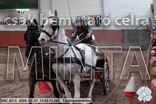 Mintakép 20260207-461