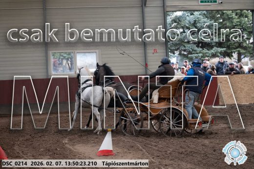 Mintakép 20260207-462
