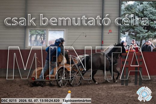 Mintakép 20260207-463