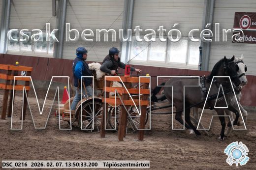 Mintakép 20260207-464