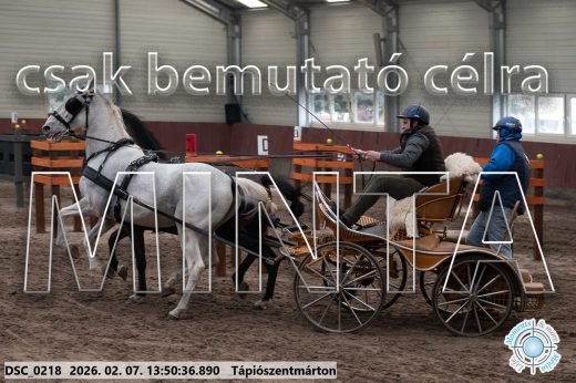 Mintakép 20260207-465