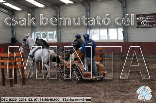 Mintakép 20260207-467