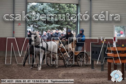 Mintakép 20260207-468