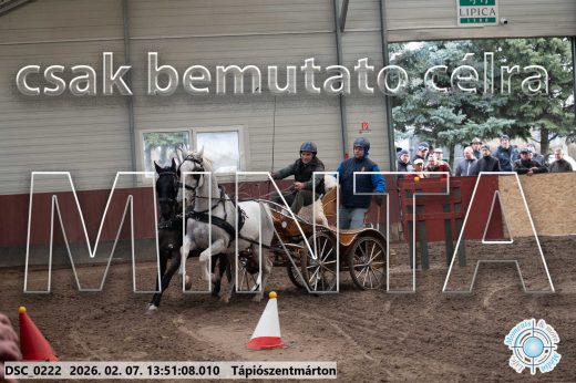 Mintakép 20260207-469