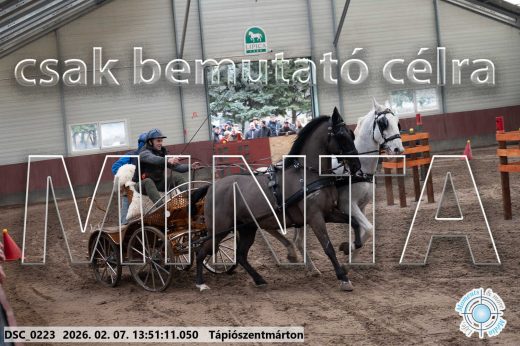 Mintakép 20260207-470