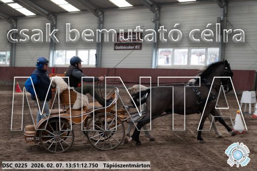 Mintakép 20260207-472