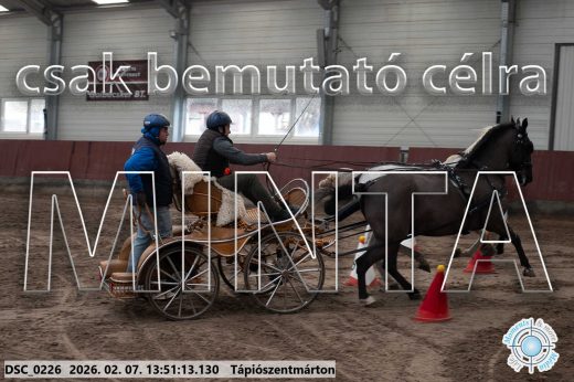 Mintakép 20260207-473
