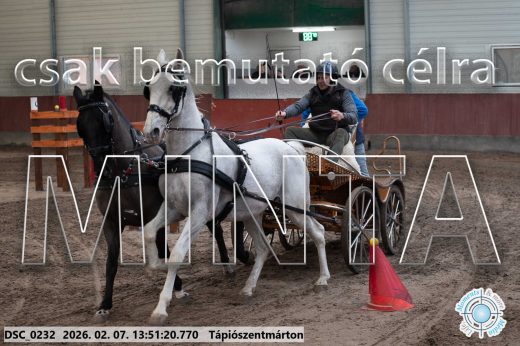 Mintakép 20260207-479