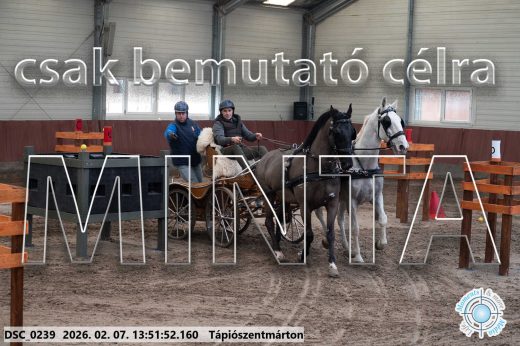 Mintakép 20260207-486