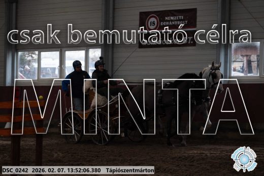 Mintakép 20260207-489