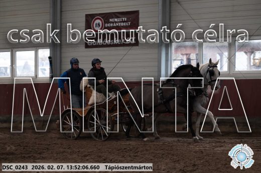 Mintakép 20260207-490