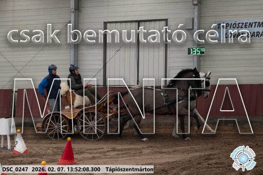 Mintakép 20260207-493