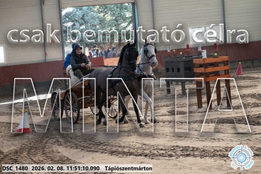 Mintakép 20260208-740