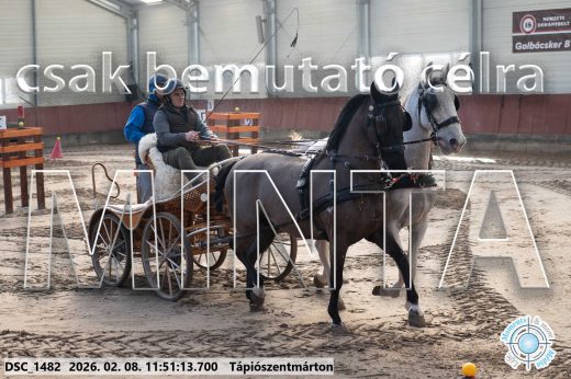 Mintakép 20260208-742