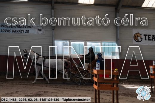 Mintakép 20260208-743