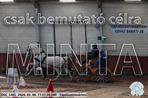 Mintakép 20260208-745